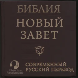 Библия: Новый Завет Современный перевод РБО, аудиокнига . ISDN42041439