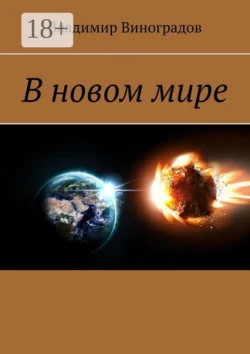 В новом мире, Владимир Виноградов