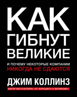 Больше, чем бизнес. Как преодолеть ограничения и построить великую компанию, аудиокнига . ISDN40517734