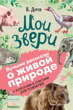 Мои звери. С вопросами и ответами для почемучек Владимир Дуров