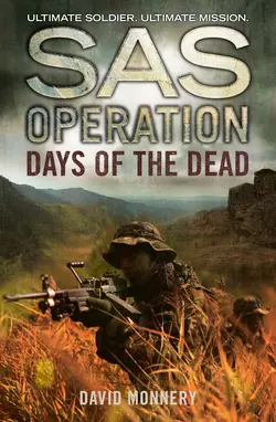 Days of the Dead David Monnery