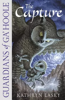 LEGEND OF THE GUARDIANS: THE OWLS OF GA’HOOLE, Кэтрин Ласки аудиокнига. ISDN39791625