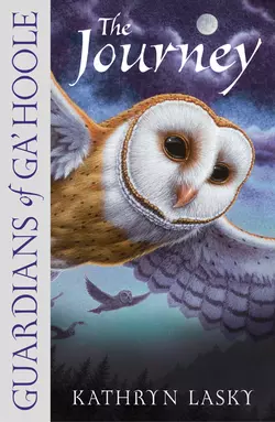 LEGEND OF THE GUARDIANS: THE OWLS OF GA’HOOLE, Кэтрин Ласки аудиокнига. ISDN39791625