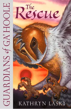 LEGEND OF THE GUARDIANS: THE OWLS OF GA’HOOLE, Кэтрин Ласки аудиокнига. ISDN39791625