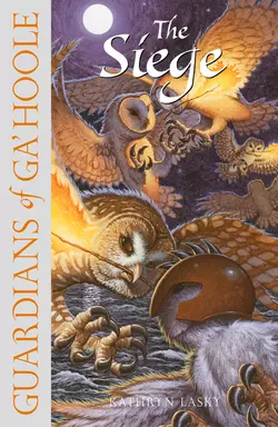 LEGEND OF THE GUARDIANS: THE OWLS OF GA’HOOLE, Кэтрин Ласки аудиокнига. ISDN39791625