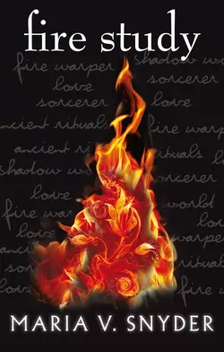 Fire Study Maria Snyder