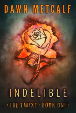 Indelible, Dawn Metcalf