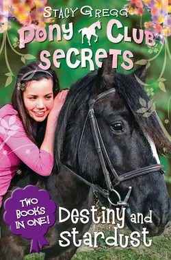 Destiny and Stardust Stacy Gregg