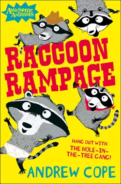 Raccoon Rampage - Nadia Shireen Raccoon Rampage - Nadia Shireen