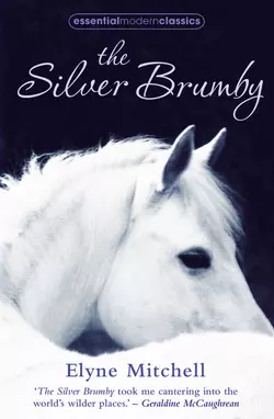 The Silver Brumby - Elyne Mitchell