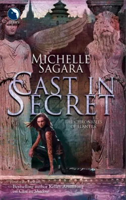 Cast In Secret - Michelle Sagara