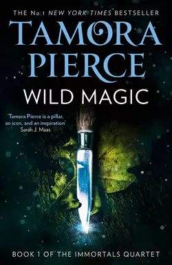 Squire, Tamora  Pierce аудиокнига. ISDN48659766