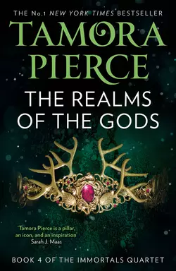 Squire, Tamora  Pierce аудиокнига. ISDN48659766