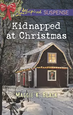 Kidnapped At Christmas, Maggie Black