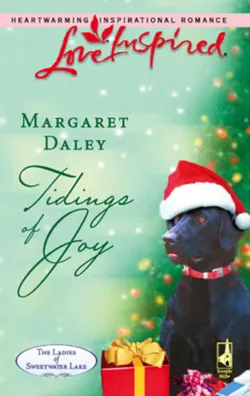 Tidings of Joy - Margaret Daley