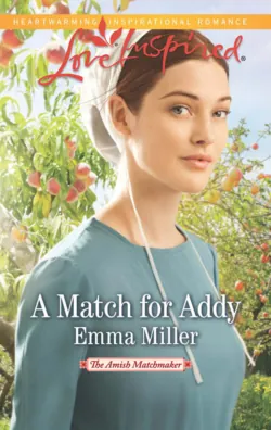 Courting Ruth, Emma  Miller audiobook. ISDN39909450