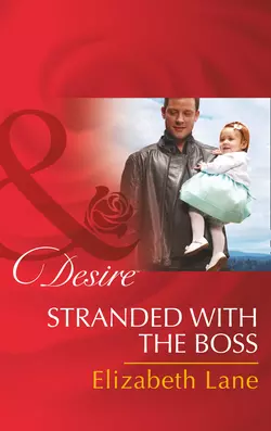 Stranded With The Boss, Elizabeth Lane