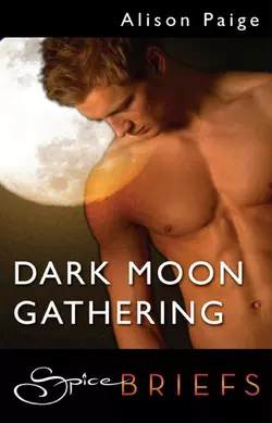 Dark Moon Gathering Alison Paige