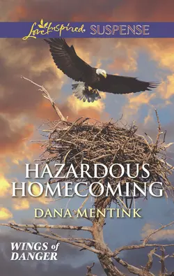 Hazardous Homecoming Dana Mentink