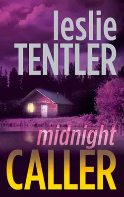 Edge of Midnight, Leslie  Tentler аудиокнига. ISDN39773693