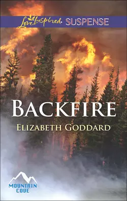 Backfire Elizabeth Goddard