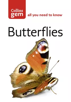 Butterflies Michael Chinery