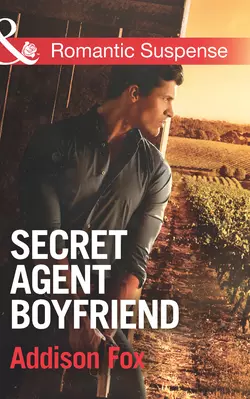 Secret Agent Boyfriend Addison Fox