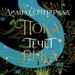 Тринадцатая сказка, аудиокнига Дианы Сеттерфилд. ISDN157364