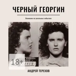 Седина, аудиокнига Андрея Сергеевича Терехова. ISDN66675962