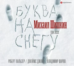 В лодке, нацарапанной на стене, аудиокнига Михаила Шишкина. ISDN68023003