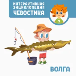 Камчатка, аудиокнига . ISDN41556891