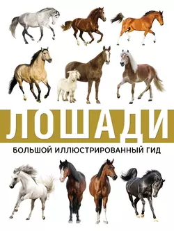 Лошади, Анна Спектор
