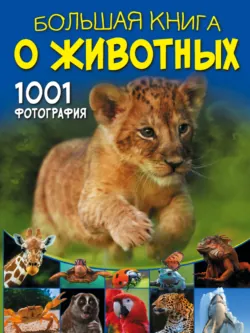Аквариум. Иллюстрированная энциклопедия, аудиокнига . ISDN50733151