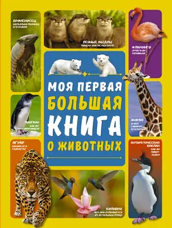 Моя первая большая книга о животных Дарья Ермакович и Любовь Вайткене