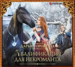 Квалификация для некроманта, Дарья Сорокина