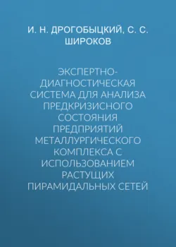 Экспертно-диагностическая система для анализа предкризисного состояния предприятий металлургического комплекса с использованием растущих пирамидальных сетей - С. Широков