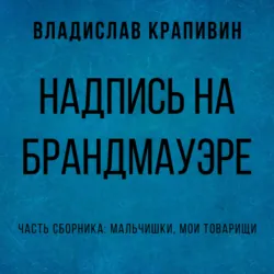 Надпись на брандмауэре - Владислав Крапивин