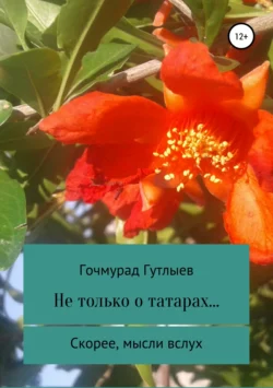 Что такое Швейцария, аудиокнига Марии Шолль. ISDN43003588