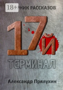 Семнадцатый терминал, Александр Прялухин