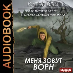 Неправильный попаданец. Книга 2, аудиокнига . ISDN74331786