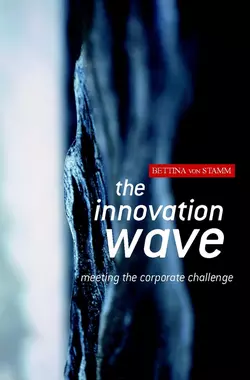 The Innovation Wave, Bettina Stamm