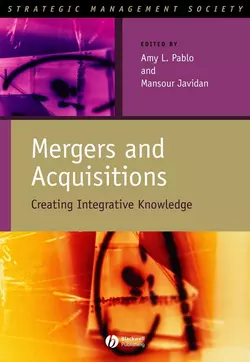 Mergers and Acquisitions, Mansour Javidan