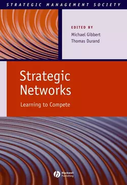 Strategic Networks, Michael Gibbert