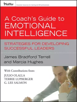 The Emotionally Intelligent Team. Understanding and Developing the Behaviors of Success, Marcia  Hughes аудиокнига. ISDN28972101