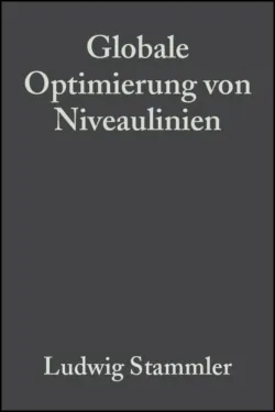 Globale Optimierung von Niveaulinien - Ludwig Stammler