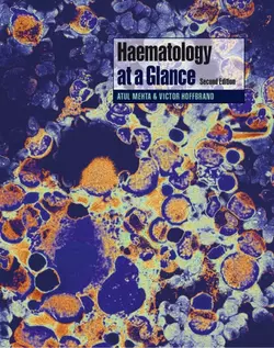 Haematology at a Glance, A. Victor Hoffbrand