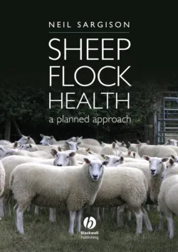 Sheep Flock Health - Сборник
