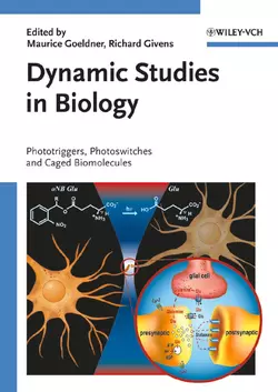Dynamic Studies in Biology Maurice Goeldner и Richard Givens