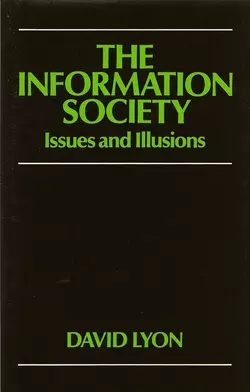 The Electronic Eye, David  Lyon аудиокнига. ISDN43592787