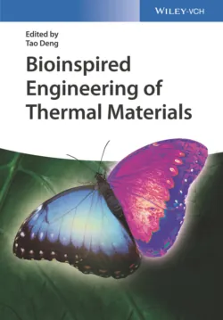 Bioinspired Engineering of Thermal Materials - Tao Deng
